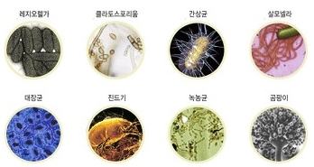 이미지삽입